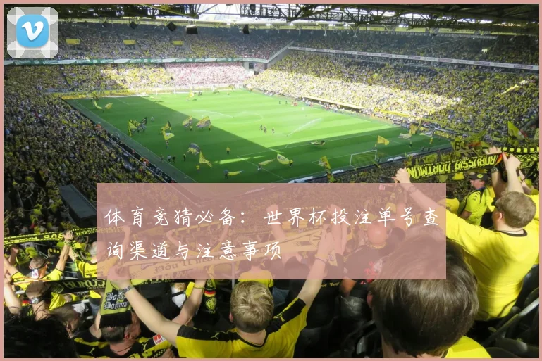 体育竞猜必备：世界杯投注单号查询渠道与注意事项