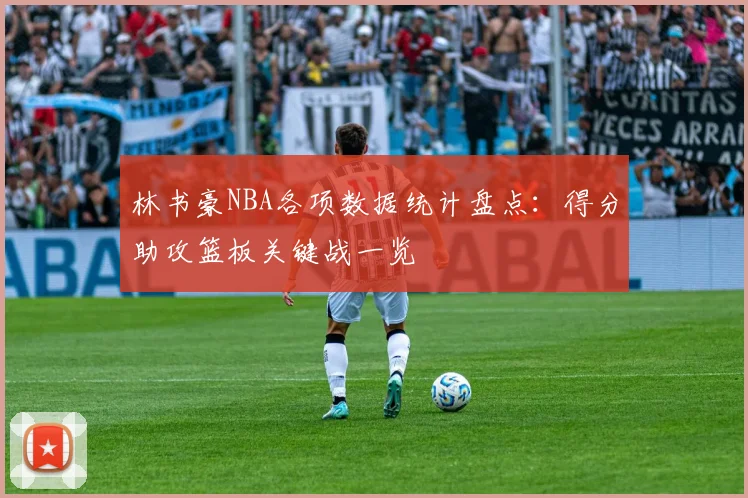 林书豪NBA各项数据统计盘点：得分助攻篮板关键战一览