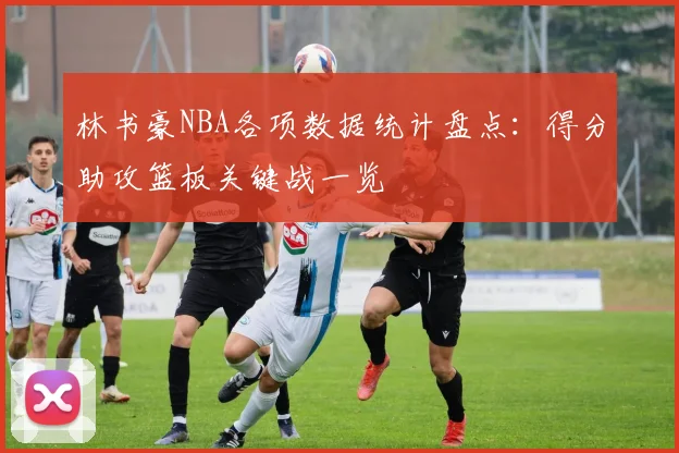林书豪NBA各项数据统计盘点：得分助攻篮板关键战一览