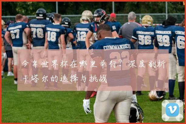 今年世界杯在哪里举行?深度剖析卡塔尔的选择与挑战