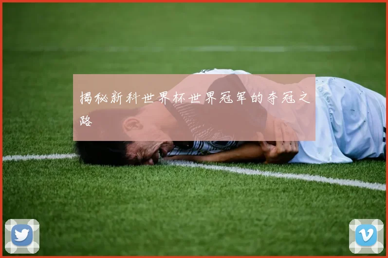 揭秘新科世界杯世界冠军的夺冠之路