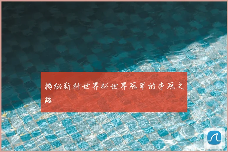 揭秘新科世界杯世界冠军的夺冠之路