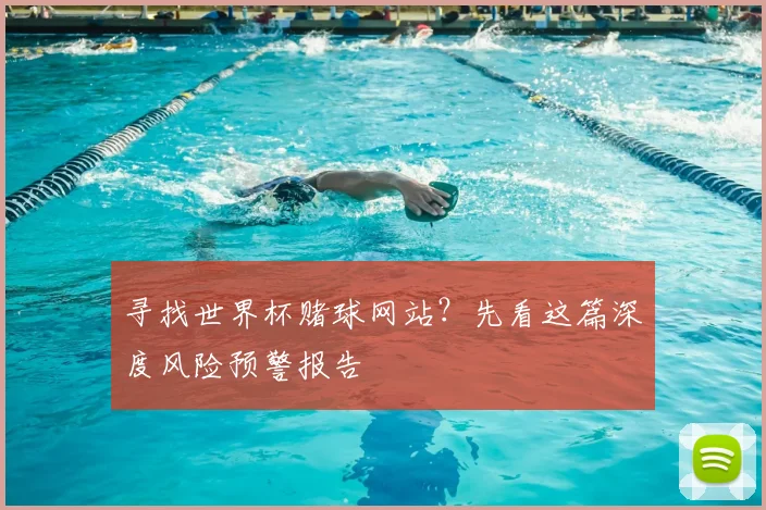 寻找世界杯赌球网站？先看这篇深度风险预警报告